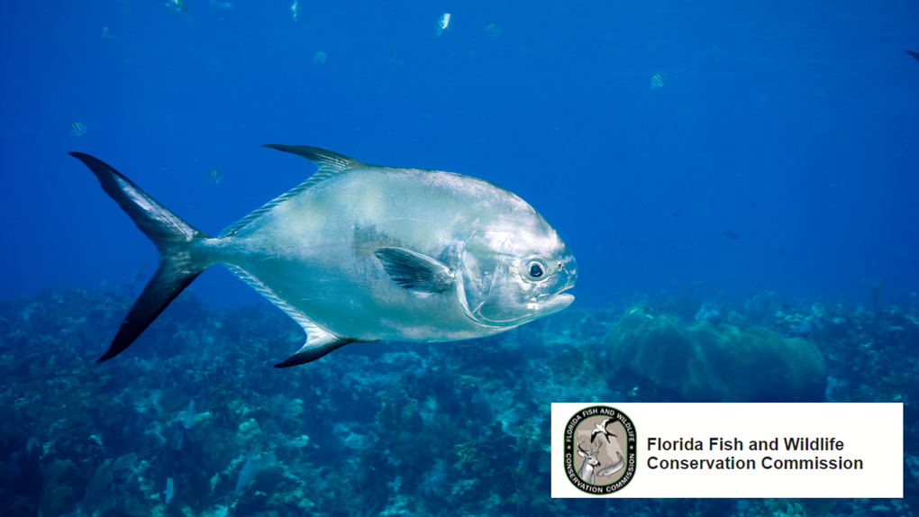 Why Do I Need a Fishing license?