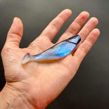Charlie's Worms Attack Shad