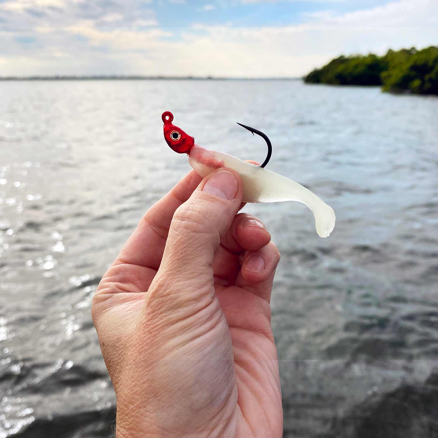 Charlie's Worms Saltwater Jighead rigged Baby Shad