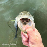 Charlies Worms Noahr Trout Viper Minnow