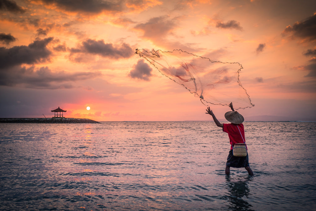 How To Catch Mullet With a Cast Net