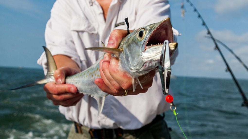 How to Fish for Spanish Mackerel: Essential Tips and Gear