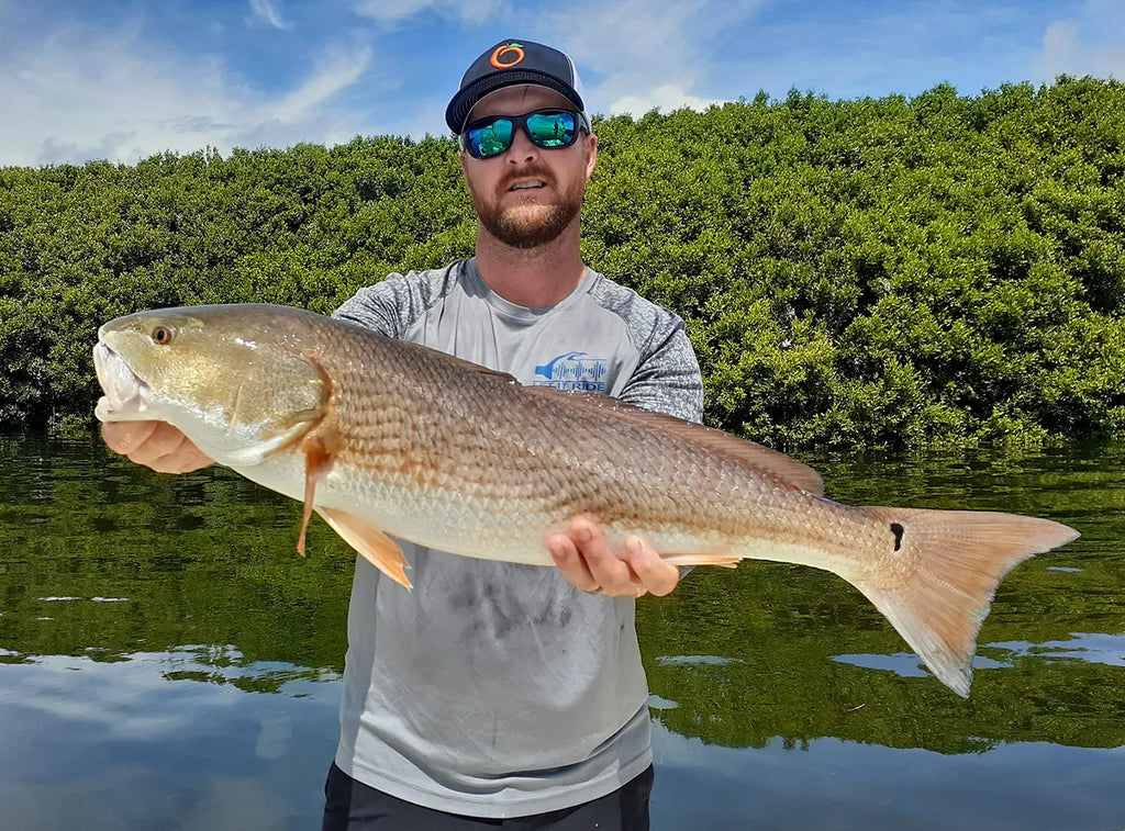 6 Best Rigs and Baits For Catching Redfish