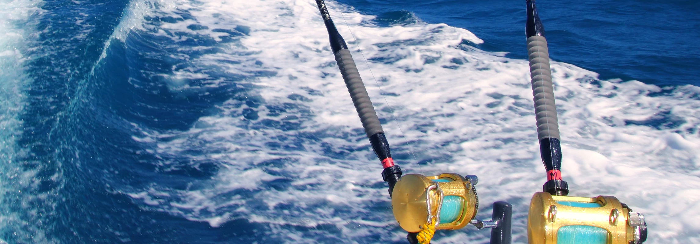 Avid Angler Solutions Fishing Glue - RITE-HITE Marine Products