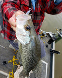 Crappie fishing with a red eye jig
